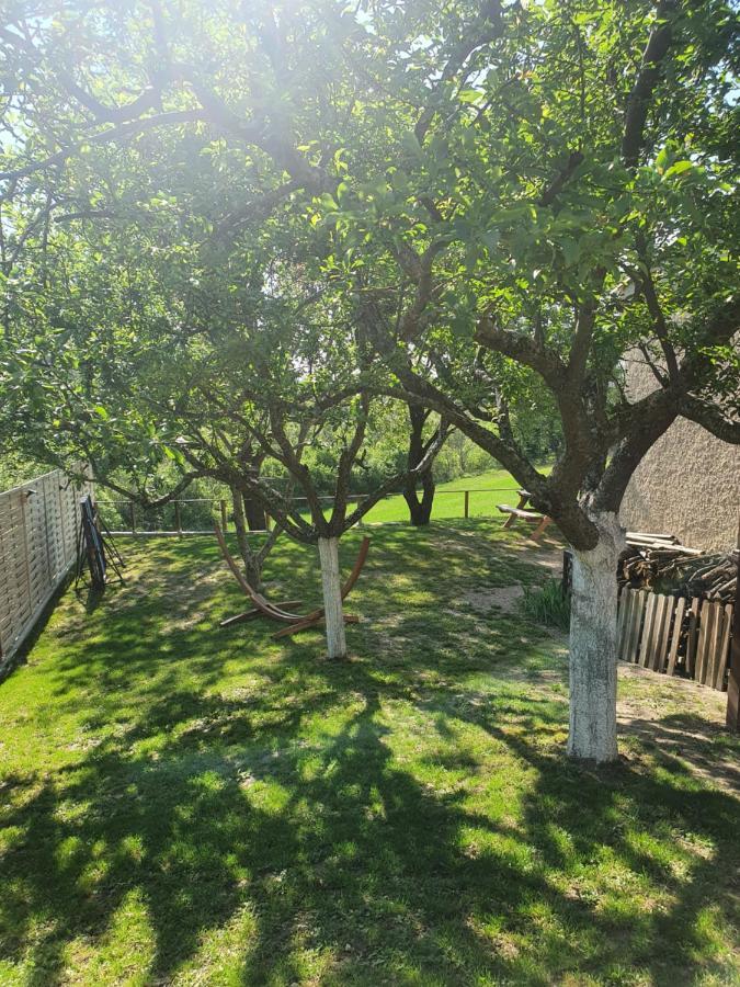 La Maison De Lalouette Forcalquier Dış mekan fotoğraf