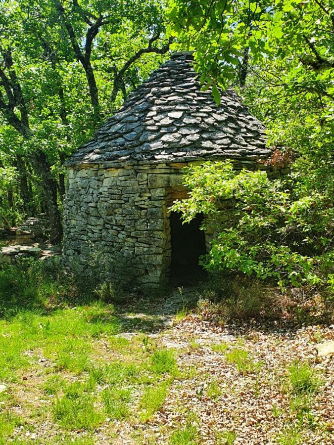 La Maison De Lalouette Forcalquier Dış mekan fotoğraf